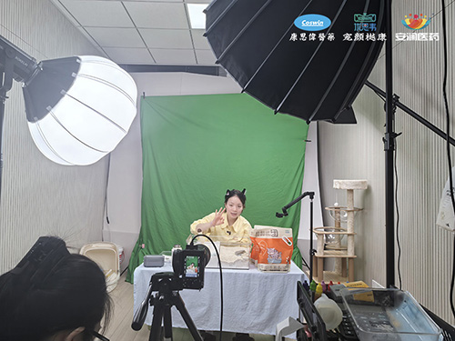 康思伟,康思伟医药,优思韦