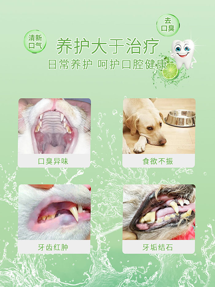 优思韦-口气清新冻干片 优思韦-口气清新冻干片