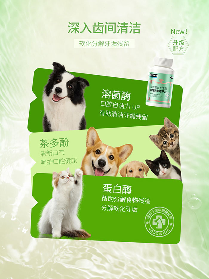 优思韦-口气清新冻干片 优思韦-口气清新冻干片