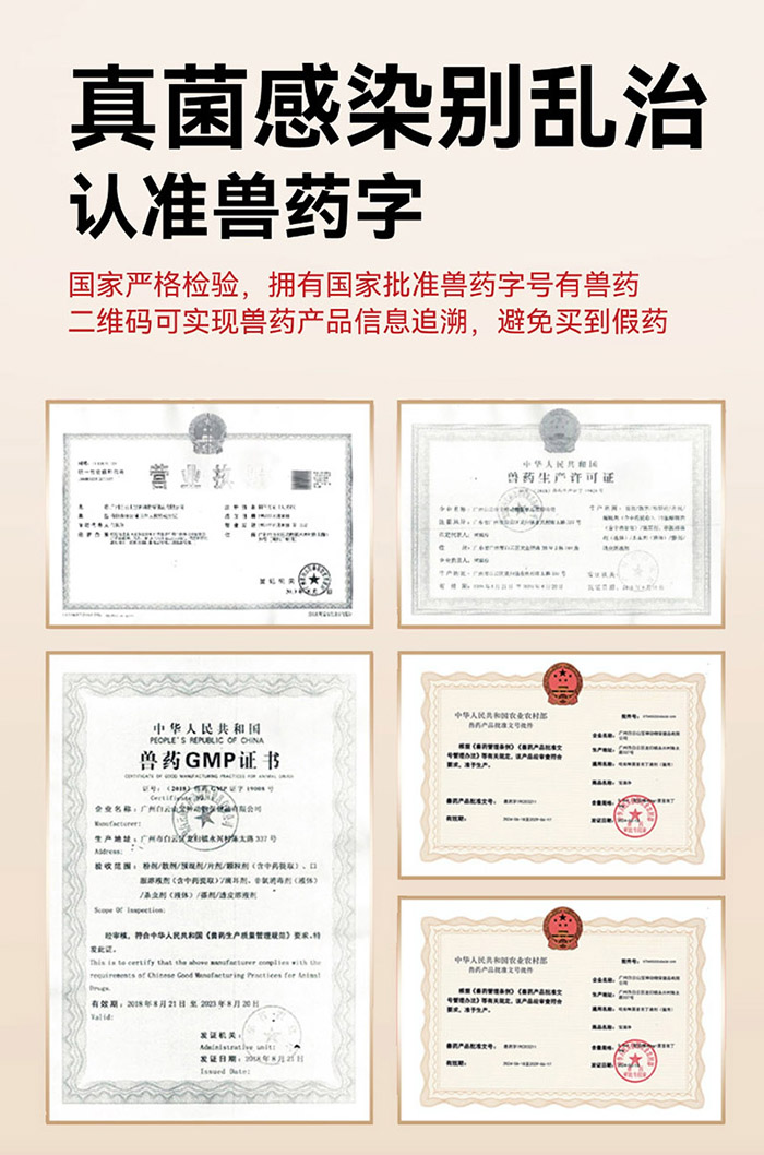 优思韦-宁伊曲康唑内服溶液